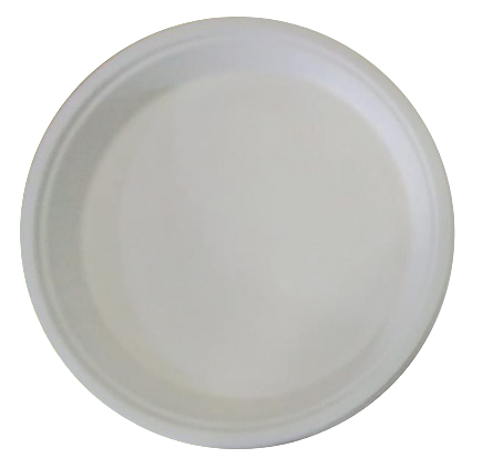   6 INCH ROUND PLATE